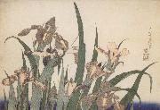 Claude Monet Iris china oil painting artist